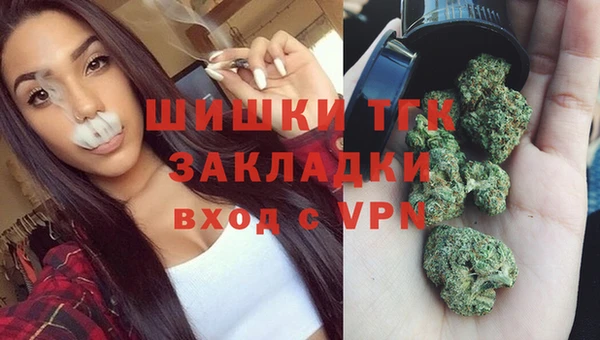 стаф Беломорск