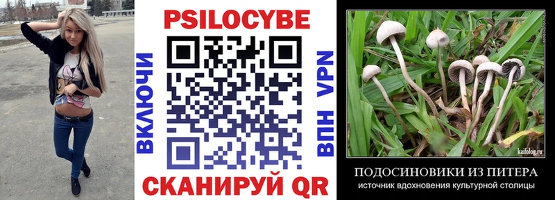 купить наркоту  Славгород  Галлюциногенные грибы Magic Shrooms 